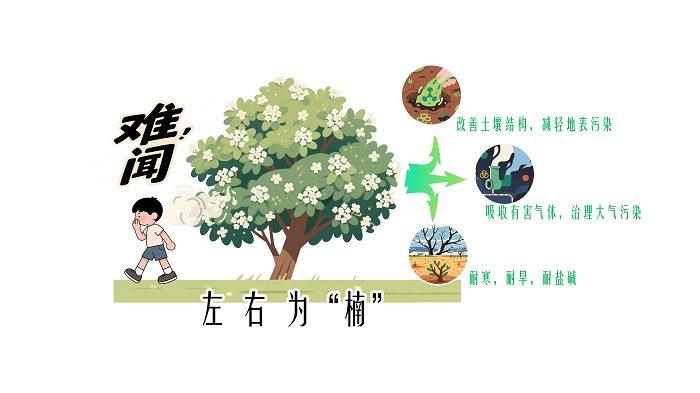 微信图片_20250411193424.png